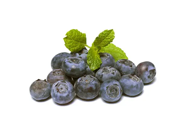 alimentos,pele Blueberries - superalimentos