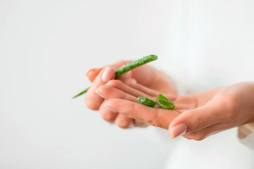 babosa para acne mulher com aloe vera na mão