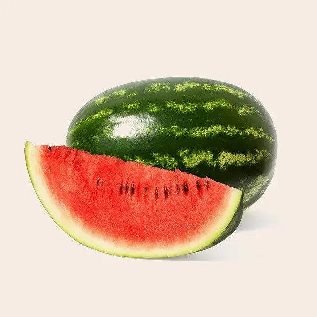 alimentos,pele melancia - alimentos