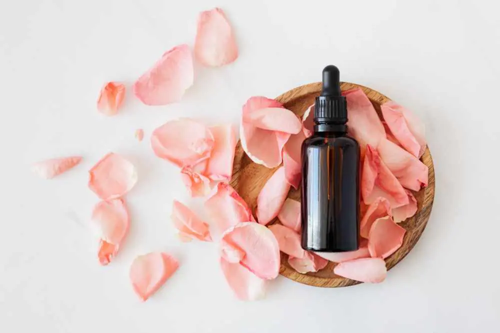 skincare,esqualano,ácido hialurônico,esqualano e ácido hialurônico skincare,esqualano,ácido hialurônico,esqualano e ácido hialurônico