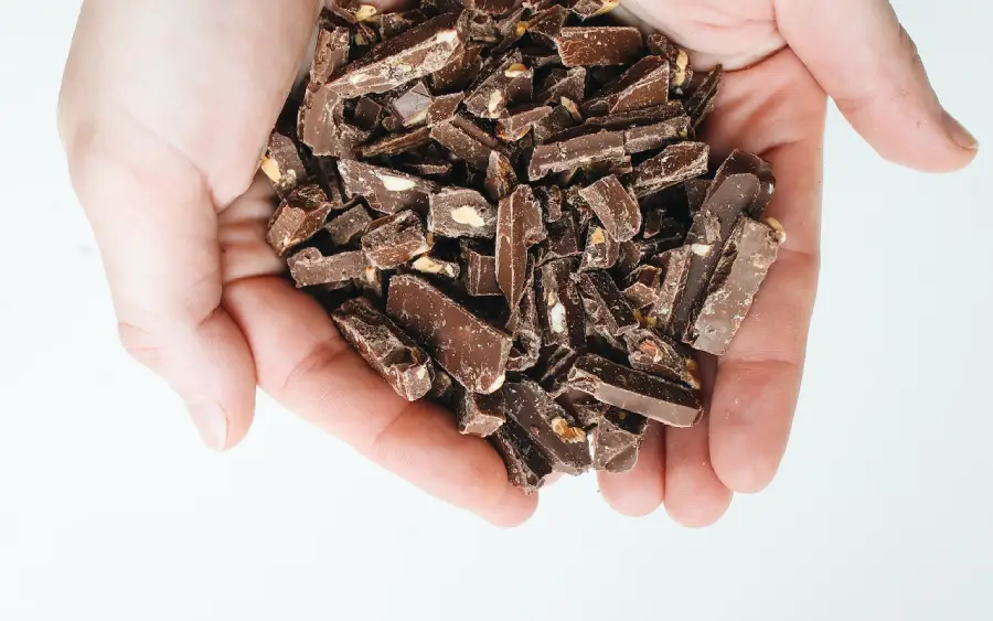 benefícios do chocolate para pele